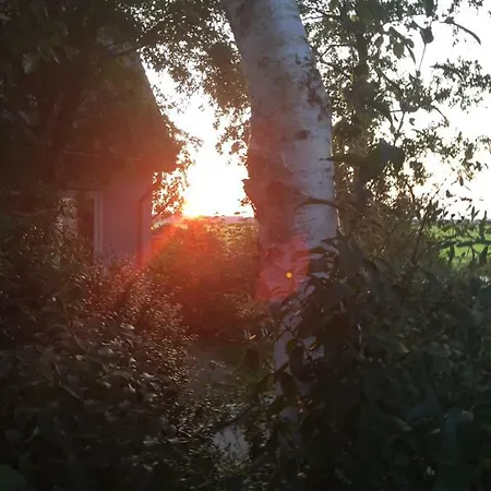 度假居 Holidayhome